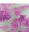 W6652-05-cococo