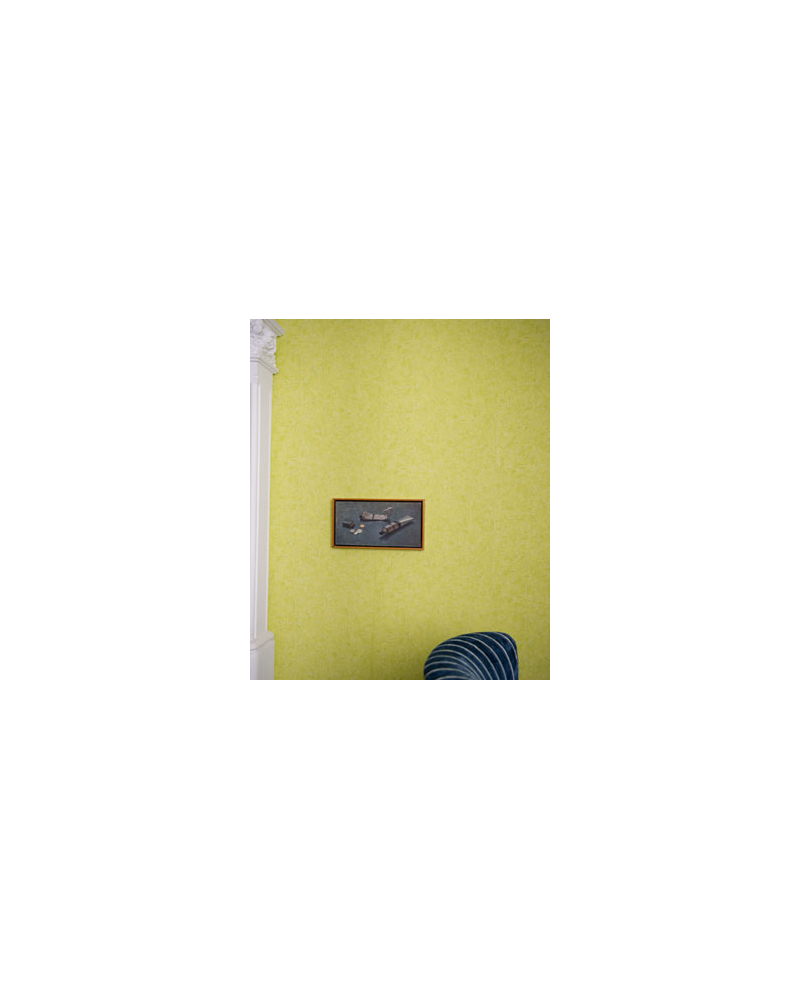 Carta da Parati P575-15 MAYURA - MOSS - Designers Guild