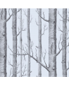 Papel Pintado Woods 69-12150 - COLE and SON