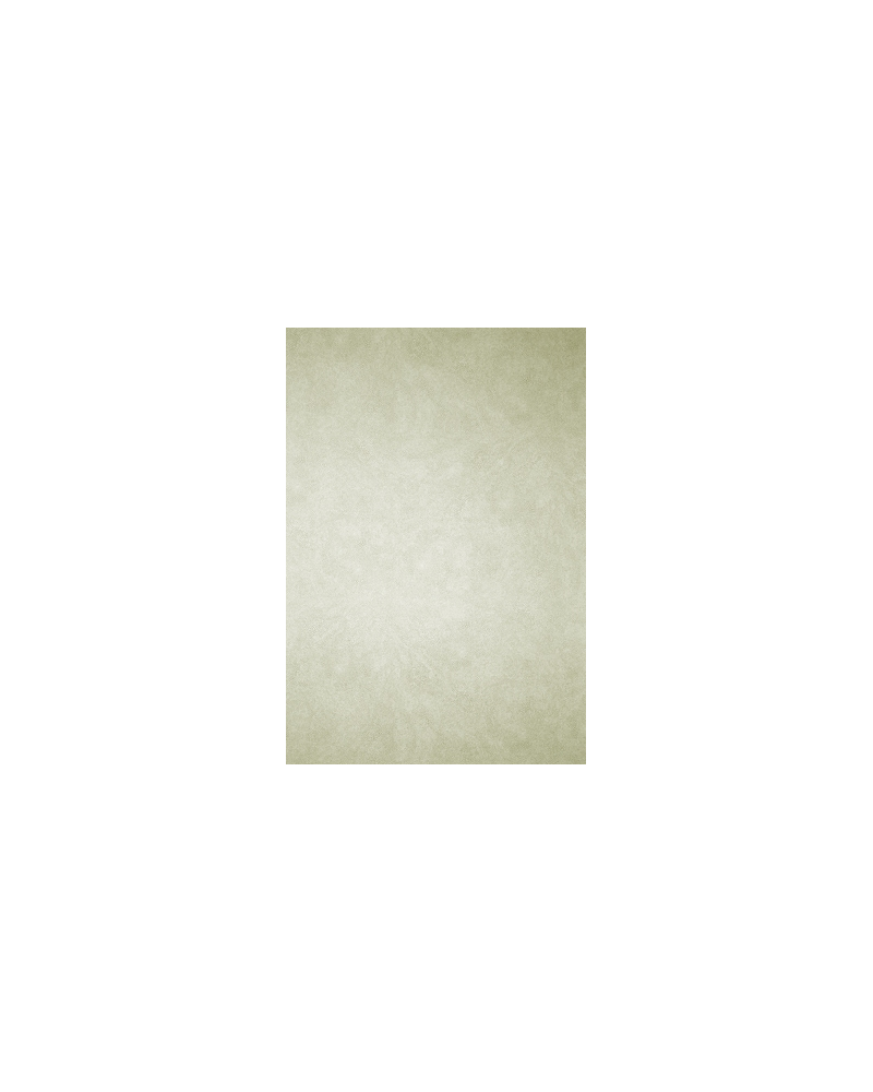 Papel Pintado MAKO W6303-04 - OSBORNE and LITTLE Papel Pintado MAKO W6303-04 - OSBORNE and LITTLE