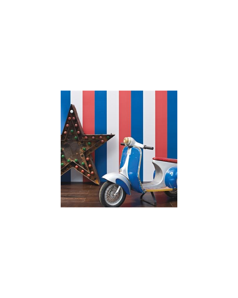 Papel Pintado CARNABY  W6296-07 - OSBORNE and LITTLE