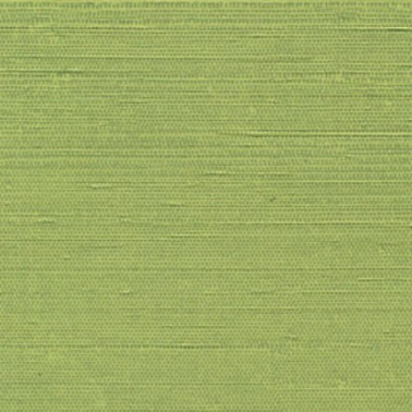 Carta da Parati VP-750-25 - Elitis