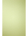 Papel Pintado W6491-05 ORIOLE - OSBORNE and LITTLE