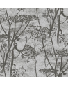 Carta da Parati Cow Parsley 95-9050 - COLE and SON