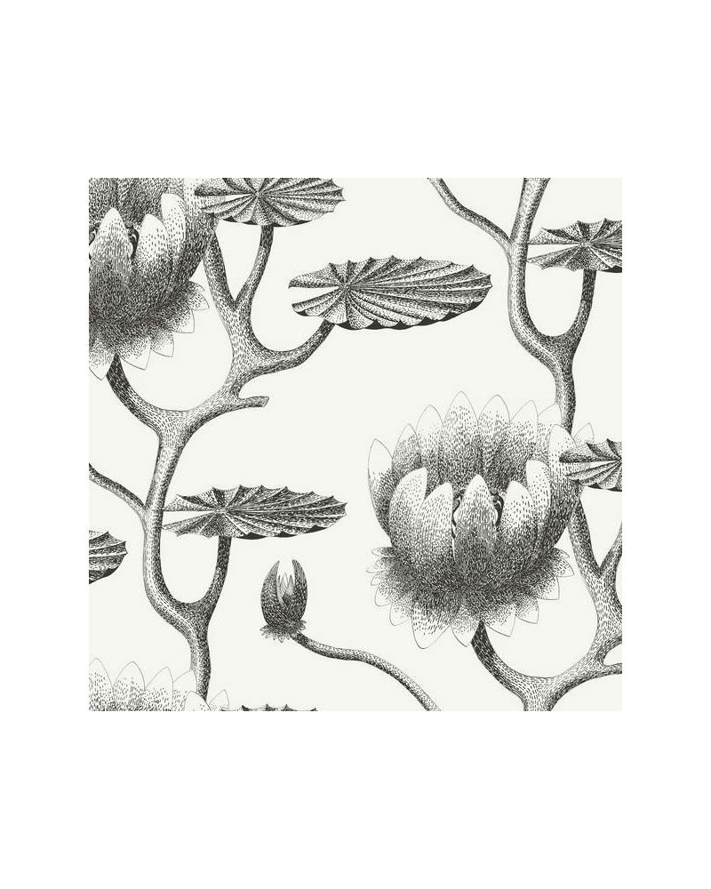 Papel de parede Lily 95-4020 - COLE and SON Papel de parede Lily 95-4020 - COLE and SON