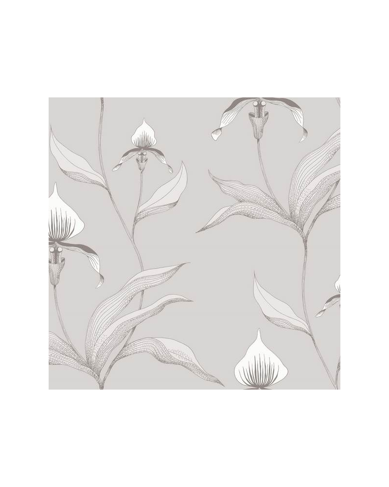 Carta da Parati Orchid 95-10055 - COLE and SON Carta da Parati Orchid 95-10055 - COLE and SON
