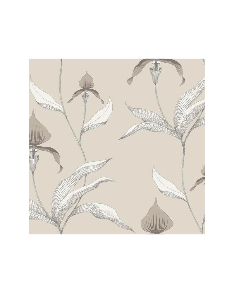 Carta da Parati Orchid 95-10058 - COLE and SON Carta da Parati Orchid 95-10058 - COLE and SON