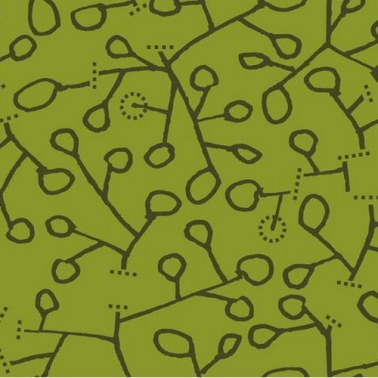 Carta da Parati sargazos-verde - EQUIPO DRT