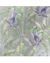 W6543-01-sunbird