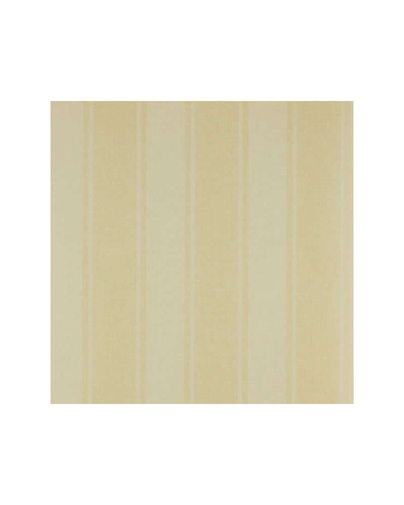 CFW7980-03 Fulney Stripe Amarelo