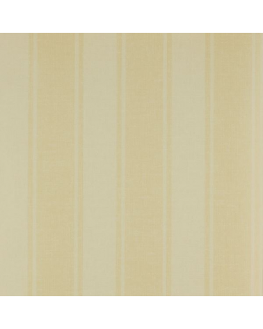 CFW7980-03 Fulney Stripe Amarelo