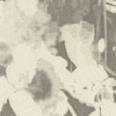 Papier peint CHIARIOSCURO 23003_1 - RUBELLI