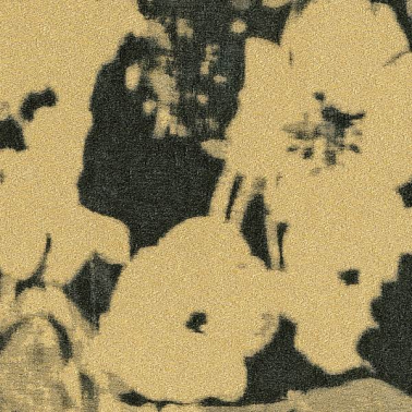 Papier peint CHIARIOSCURO 23003_3 - RUBELLI