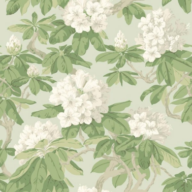 Carta da Parati Bourlie 99-4022 - COLE and SON