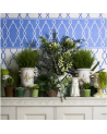 Carta da Parati Parterre Border 99-3012 - COLE and SON