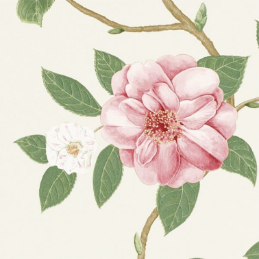Wallpaper CHRISTABEL DVOY213374-coral ivory - Sanderson