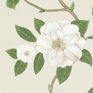 Wallpaper CHRISTABEL DVOY213380-ivory cream - Sanderson