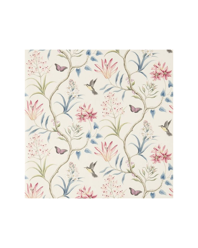Wallpaper CLEMENTINE DVOY213387-indienne - Sanderson