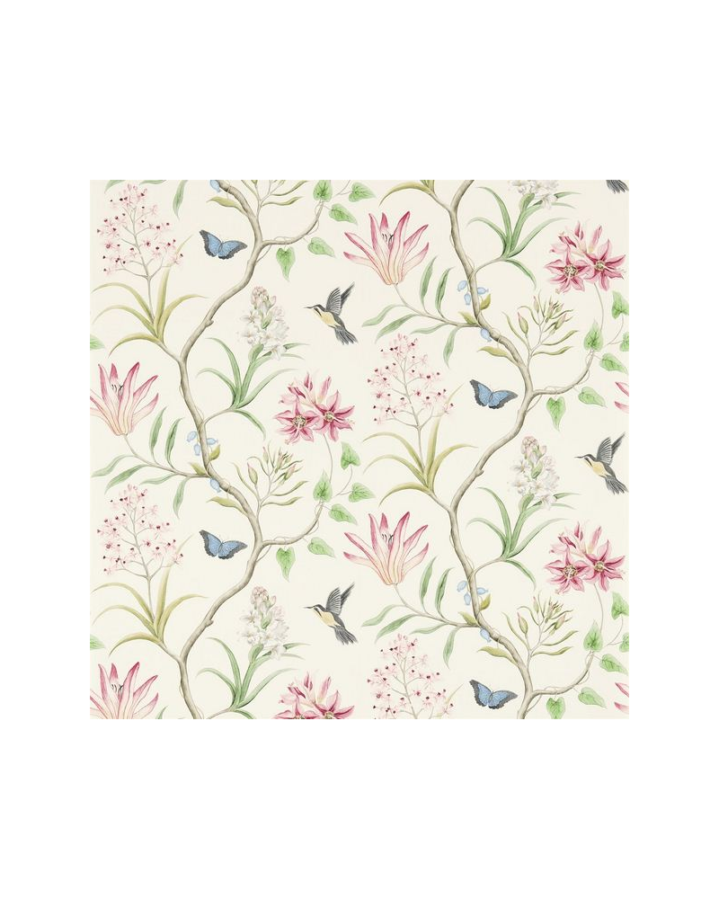 Wallpaper CLEMENTINE DVOY213388-chintz - Sanderson