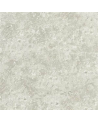 PDG640/03 POTTICINO PEWTER