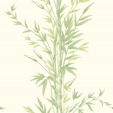 Tapete Bamboo 100-5023 - COLE and SON