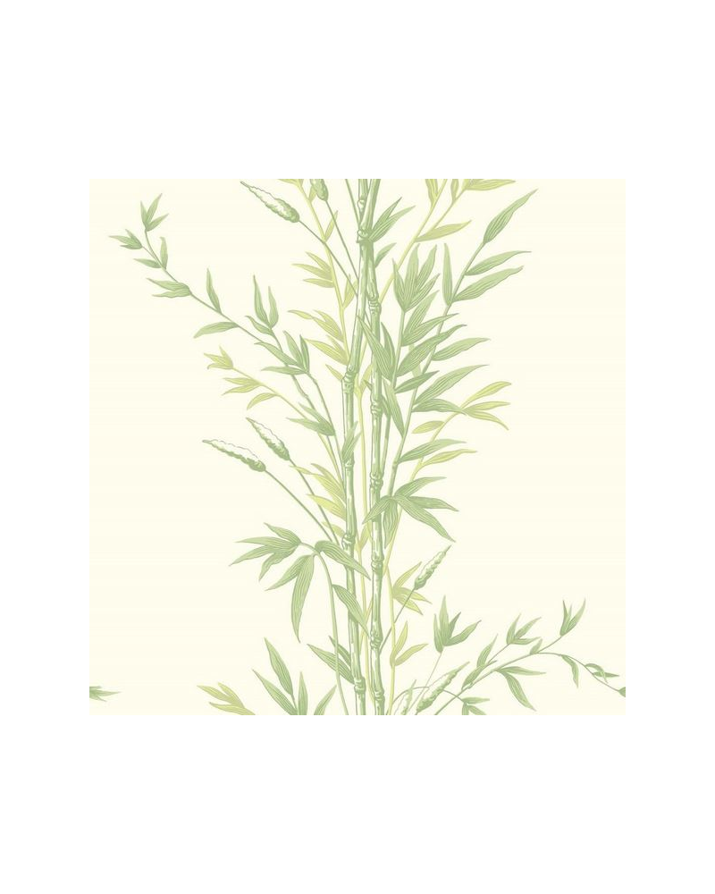 Tapete Bamboo 100-5023 - COLE and SON Tapete Bamboo 100-5023 - COLE and SON