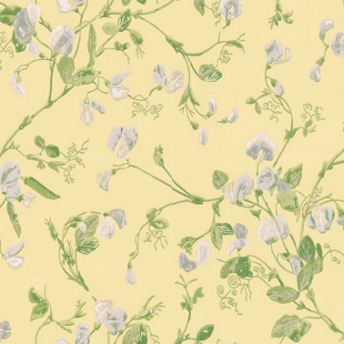 Carta da Parati Sweet Pea 100-6029 - COLE and SON