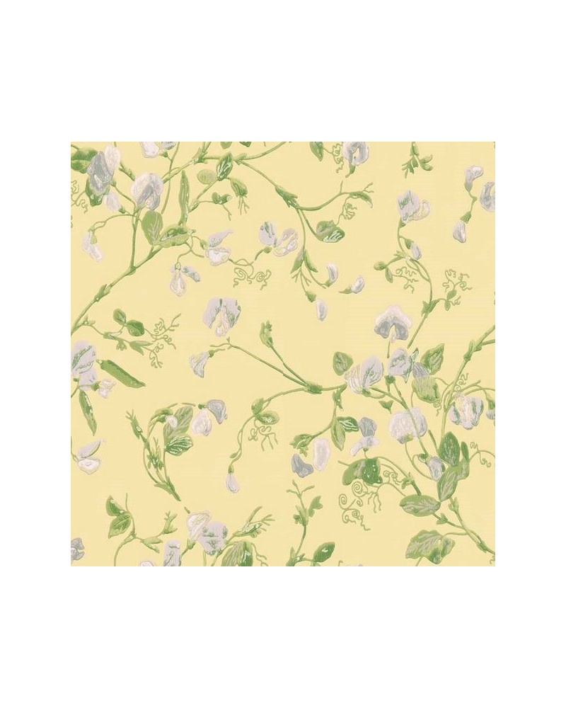 Papel de parede Sweet Pea 100-6029 - COLE and SON Papel de parede Sweet Pea 100-6029 - COLE and SON