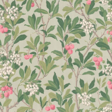 Carta da Parati Strawberry Tree 100-10048 - COLE and SON