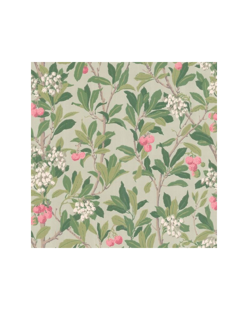 Tapete Strawberry Tree 100-10048 - COLE and SON Tapete Strawberry Tree 100-10048 - COLE and SON