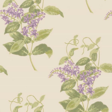 Papel de parede Madras Violet 100-12056 - COLE and SON