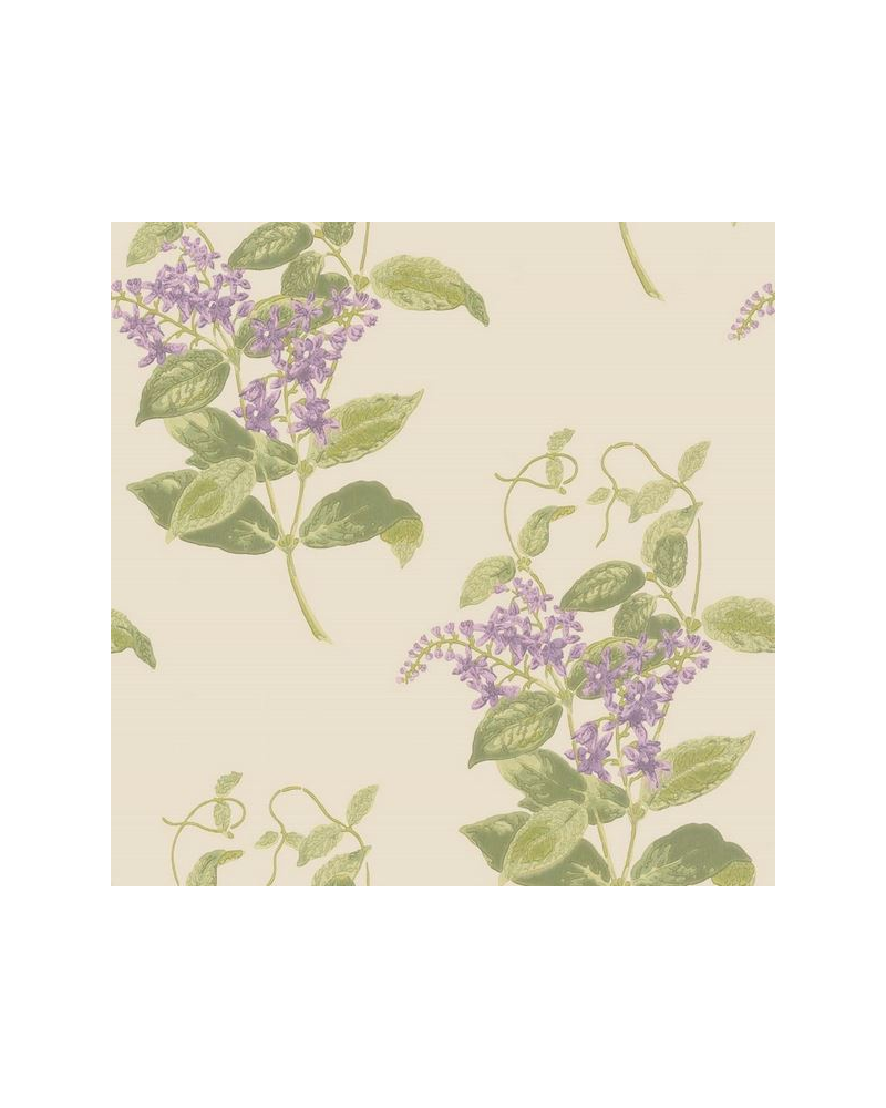 Papel de parede Madras Violet 100-12056 - COLE and SON