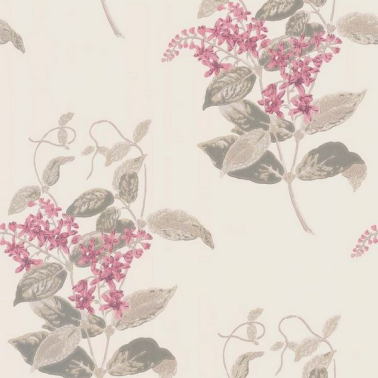 Wallpaper Madras Violet 100-12058 - COLE and SON