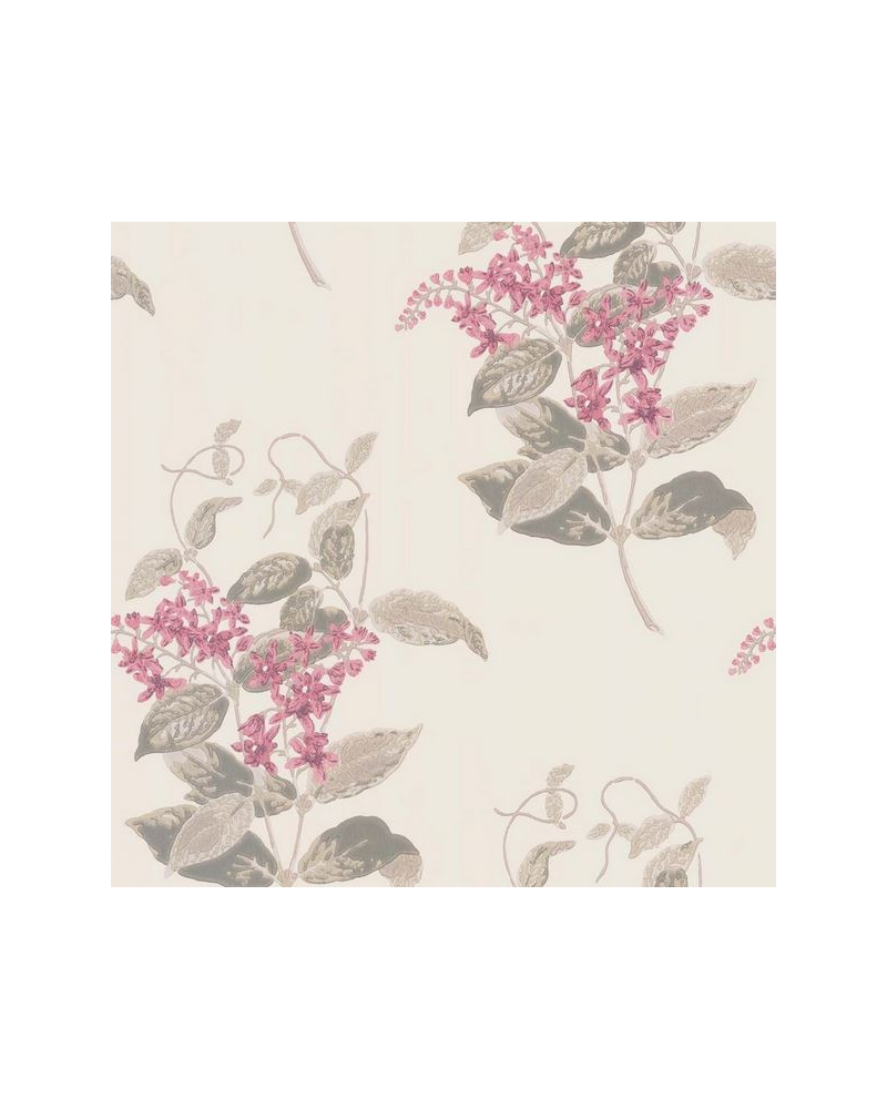 Papel de parede Madras Violet 100-12058 - COLE and SON Papel de parede Madras Violet 100-12058 - COLE and SON