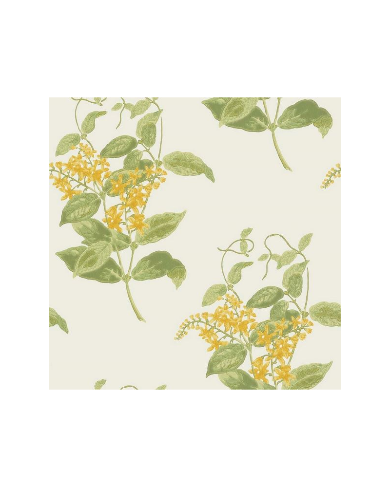 Wallpaper Madras Violet 100-12059 - COLE and SON Wallpaper Madras Violet 100-12059 - COLE and SON