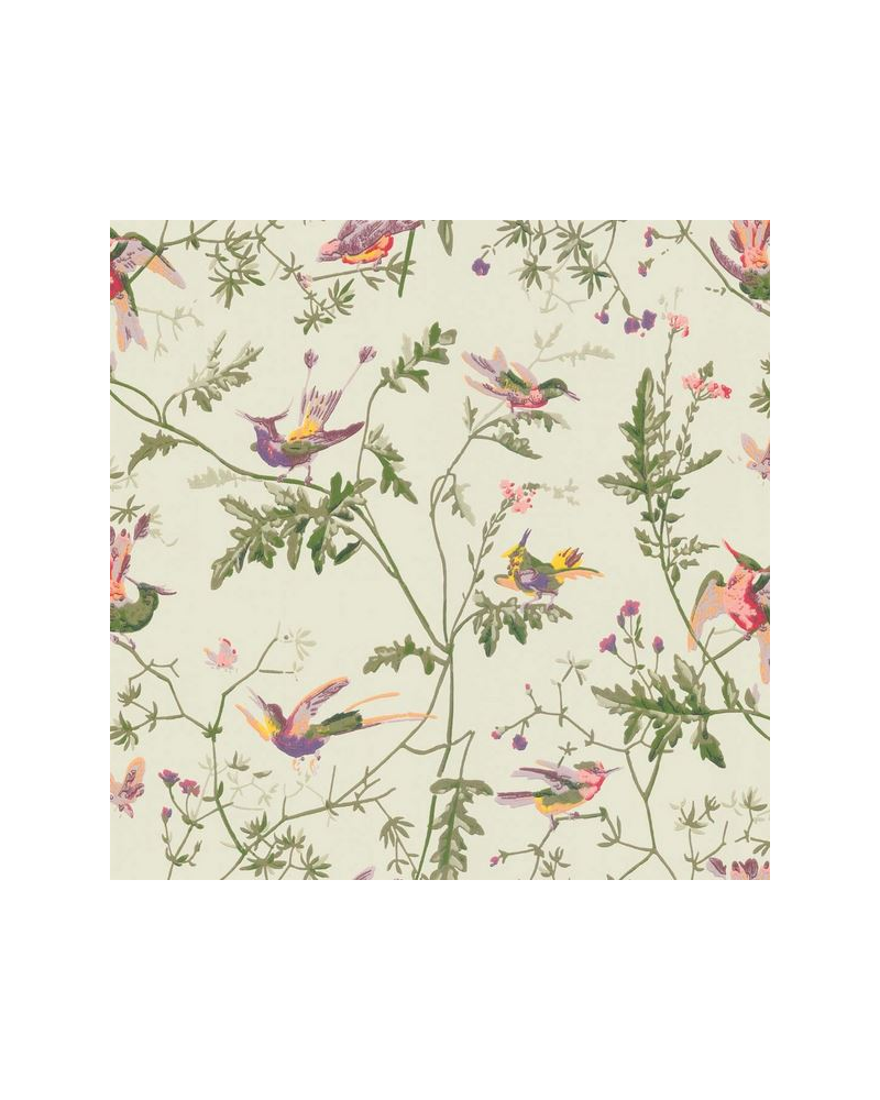 Wallpaper Hummingbirds 100-14070 - COLE and SON