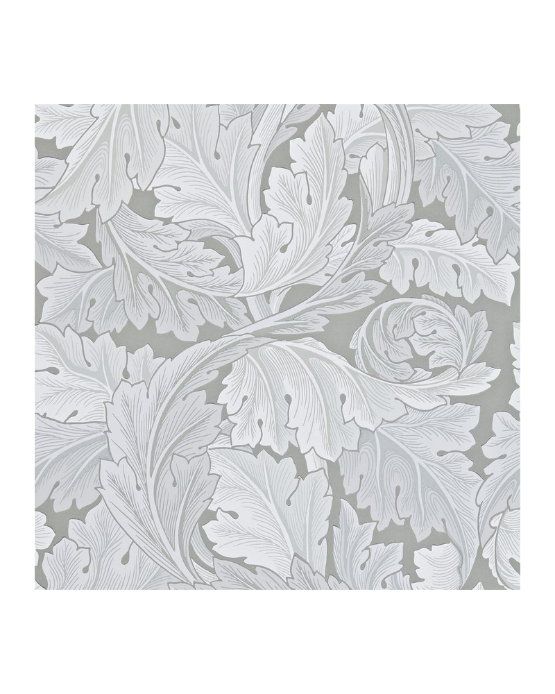 Wallpaper ACANTHUS DARW212553 - MORRIS CO Wallpaper ACANTHUS DARW212553 - MORRIS CO