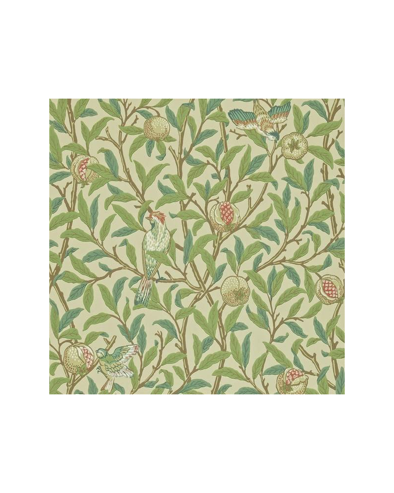 Papel de parede BIRD Y POMEGRANATE DARW212539 - MORRIS CO Papel de parede BIRD Y POMEGRANATE DARW212539 - MORRIS CO