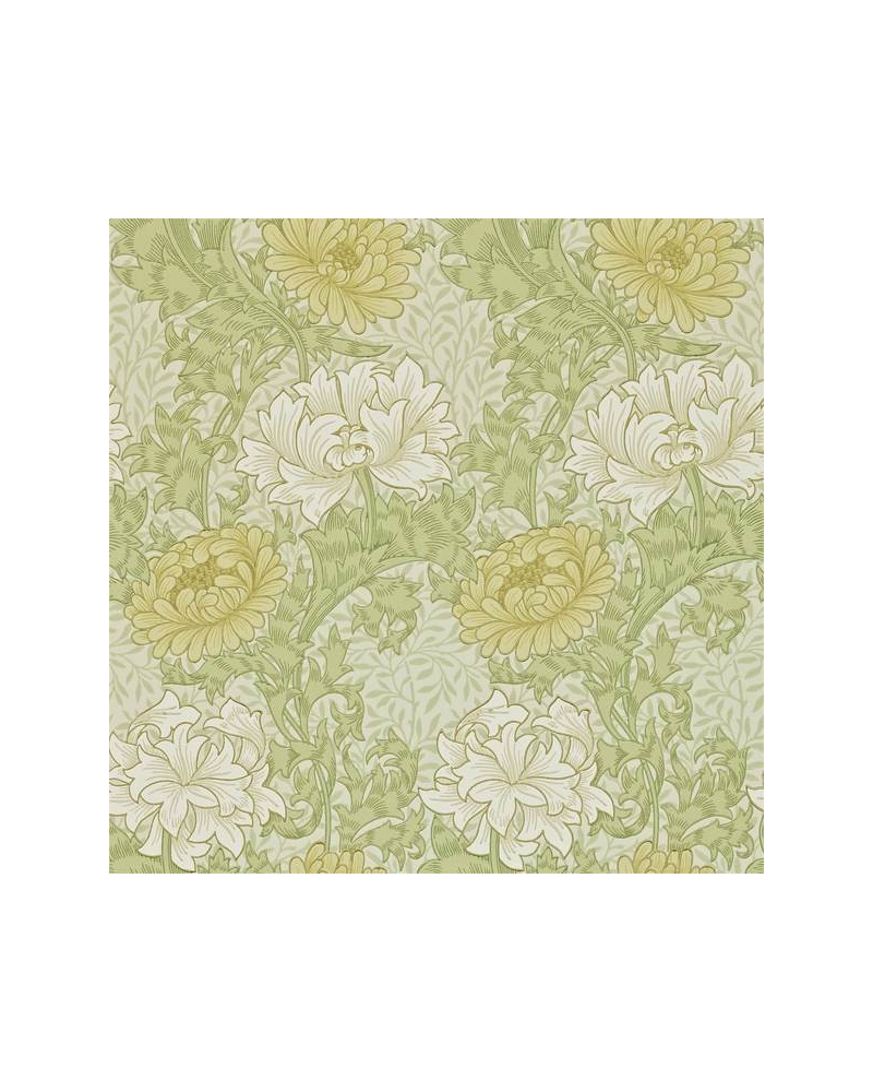 Carta da Parati CHRYSANTHEMUM DARW212545 - MORRIS CO Carta da Parati CHRYSANTHEMUM DARW212545 - MORRIS CO