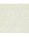 CRYSANTHEMUM DARW212546