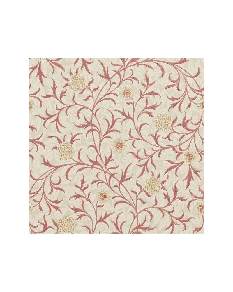 Carta da Parati SCROLL DM6P210364 - MORRIS CO Carta da Parati SCROLL DM6P210364 - MORRIS CO