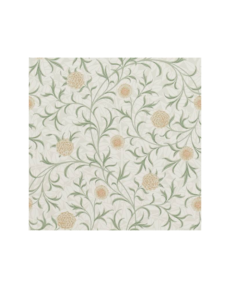 Carta da Parati SCROLL DM6P210365 - MORRIS CO Carta da Parati SCROLL DM6P210365 - MORRIS CO