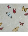 farfalla_NCW4010-01