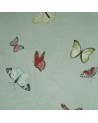 farfalla_NCW4010-02