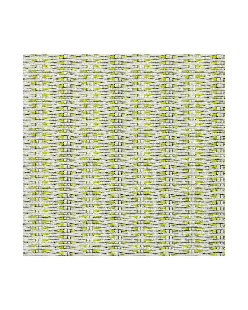 Papel Pintado PCL664-05 BARBADE - LIME - CHRISTIAN LACROIX