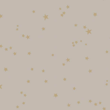 Carta da Parati Stars 103-3013 - COLE and SON