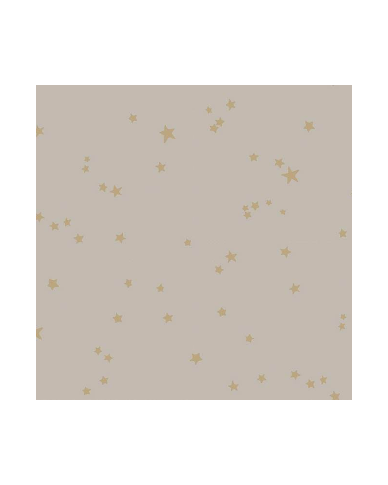 Estrelas 103-3013