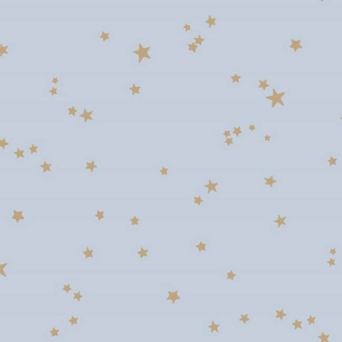 Papel de parede Stars 103-3016 - COLE and SON