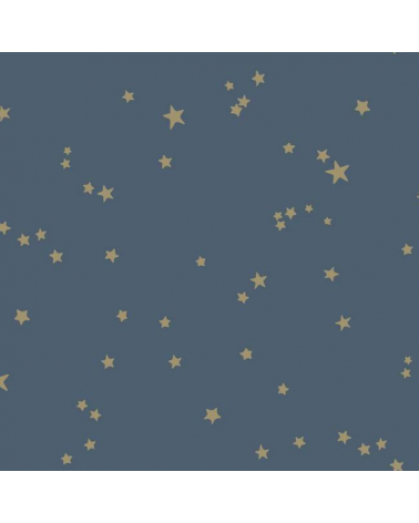 Estrelas 103-3017