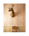 Tapete Woods 103-5024 - COLE and SON